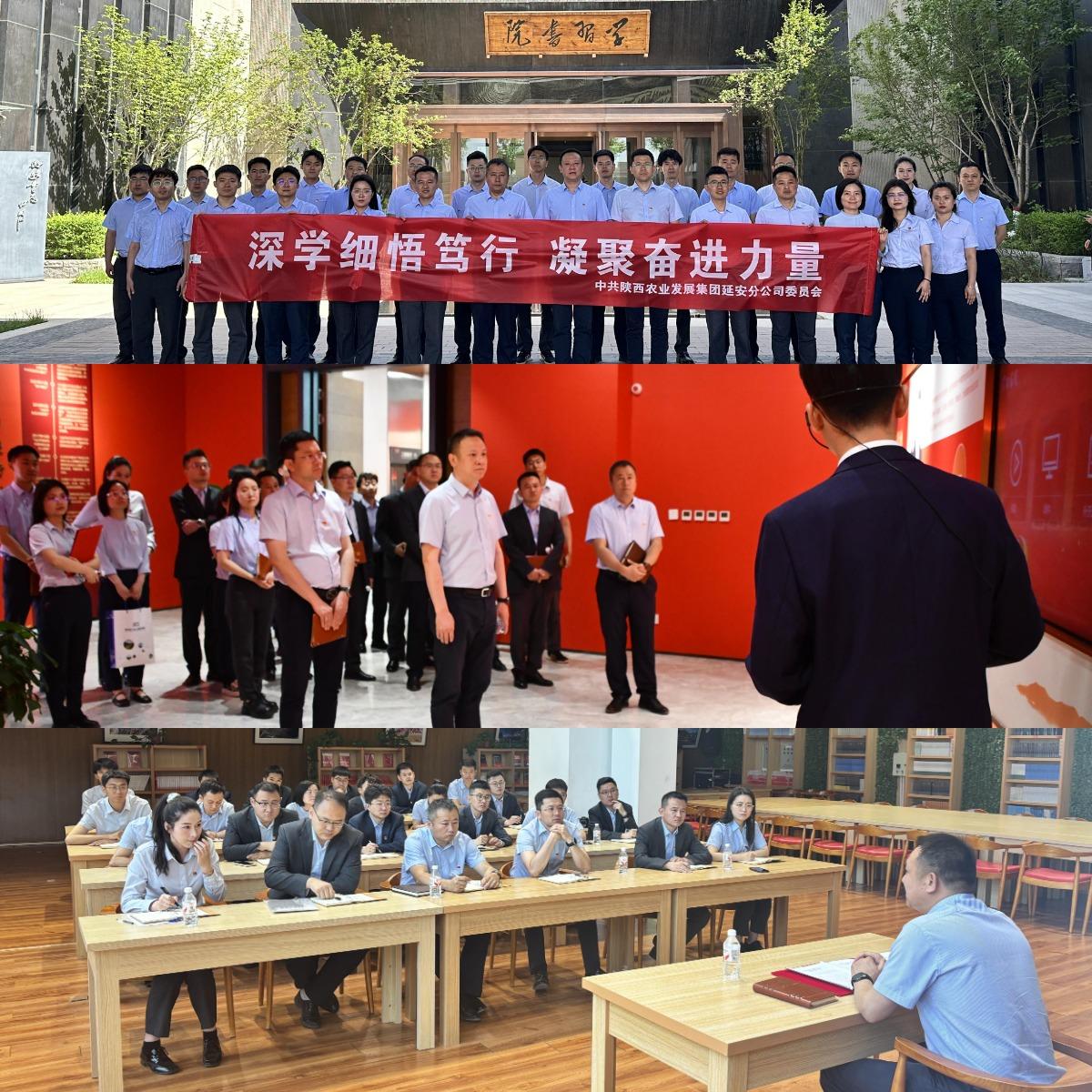WPS拼图0.jpg