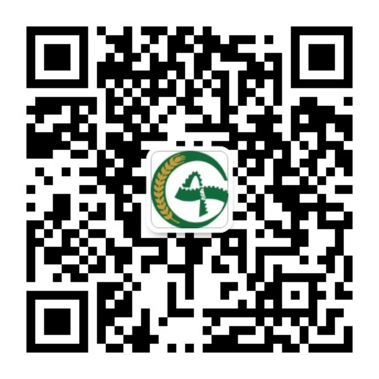 cec6be44d554fa068509a7c1bb15382.jpg