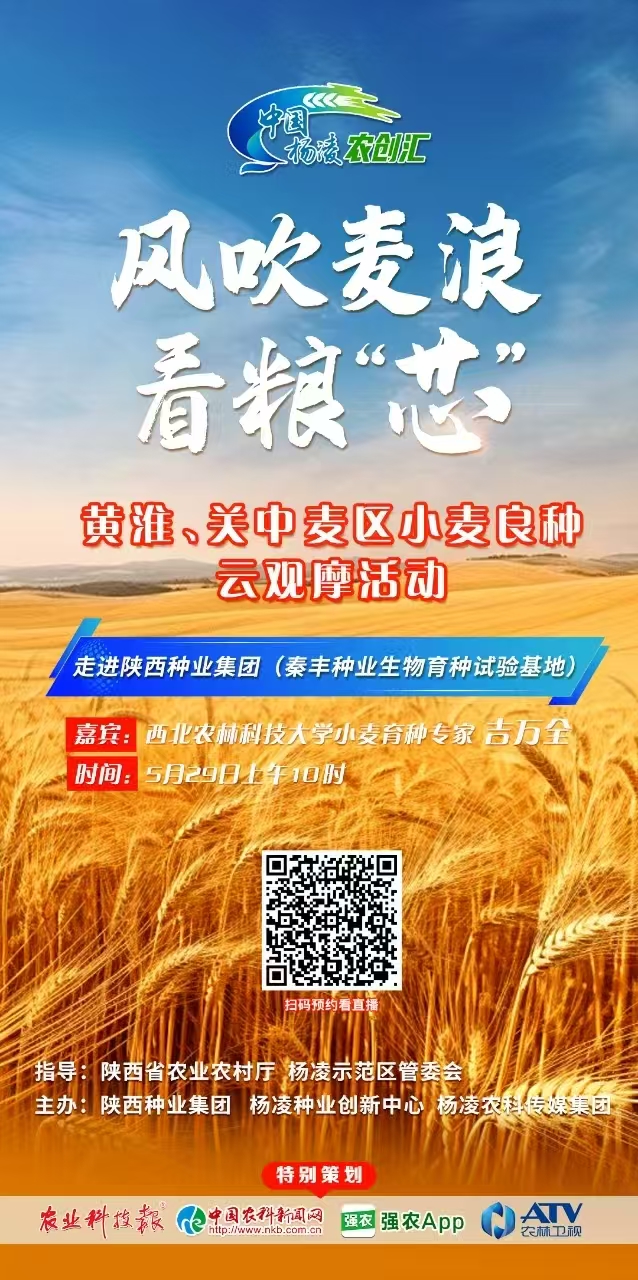 微信图片_20250530165529.jpg