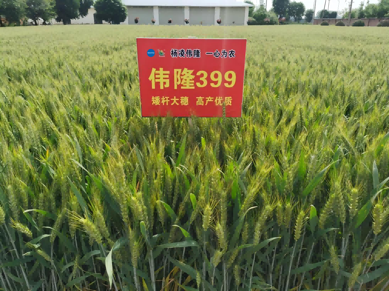 微信图片_20250710180708(1).png