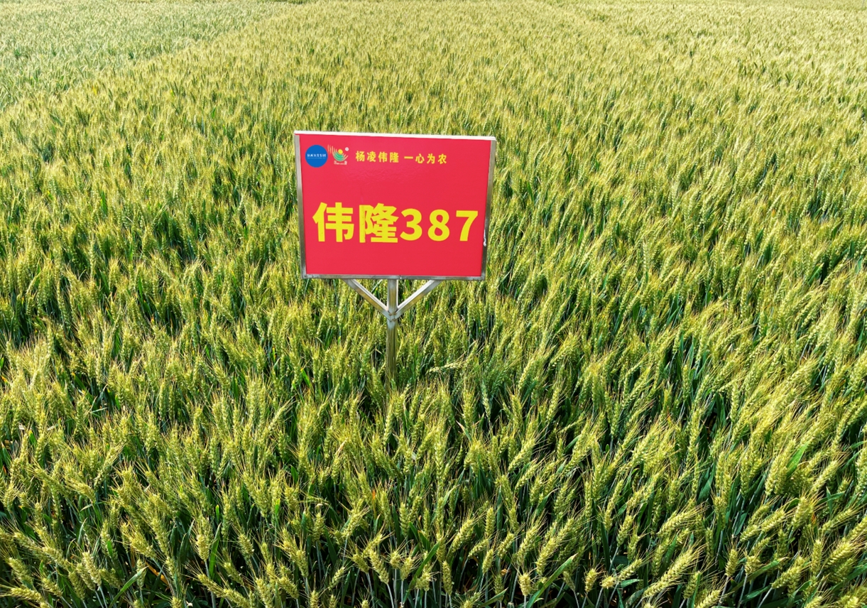 微信截图_20250710180825.png