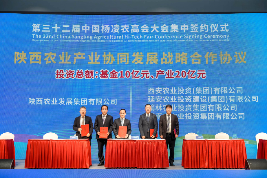 261761479789182349.png image.png