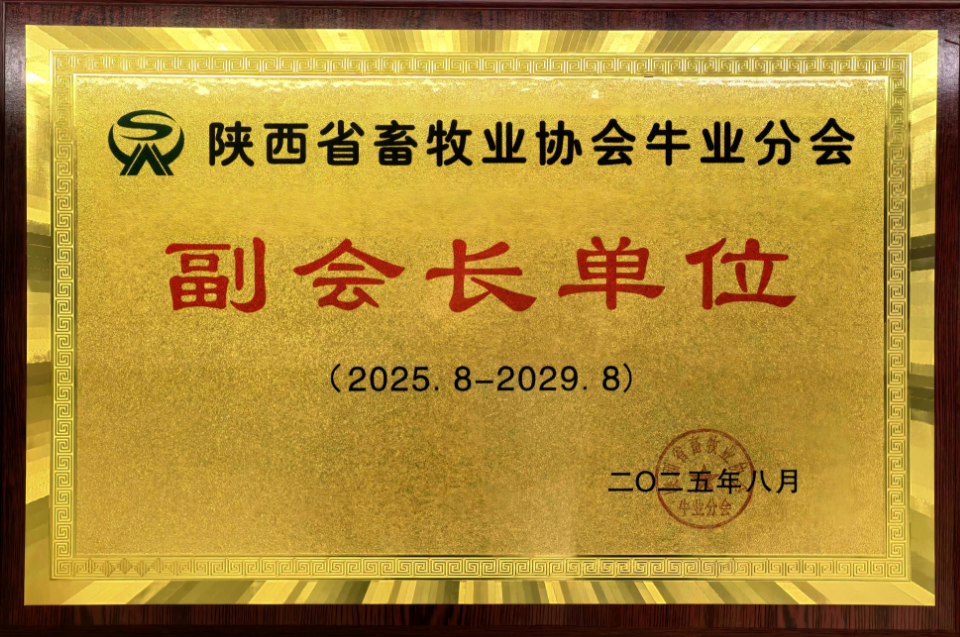 031762156507570723.png image.png