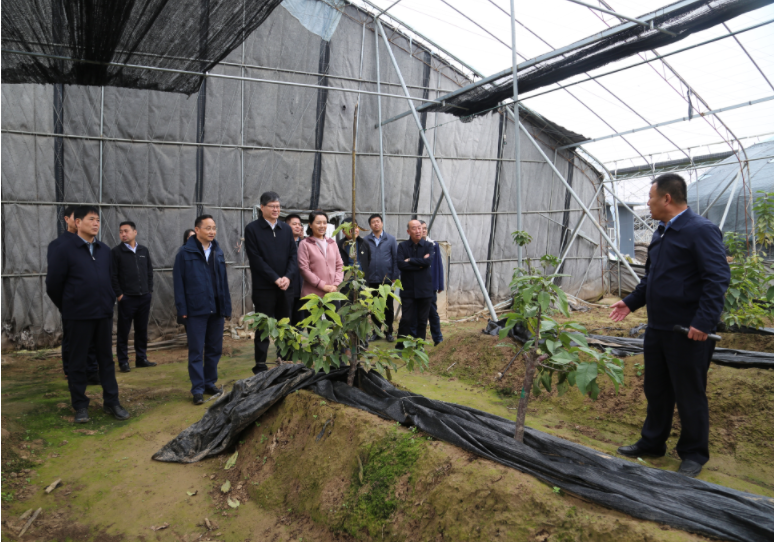 101762773279435491.png image.png