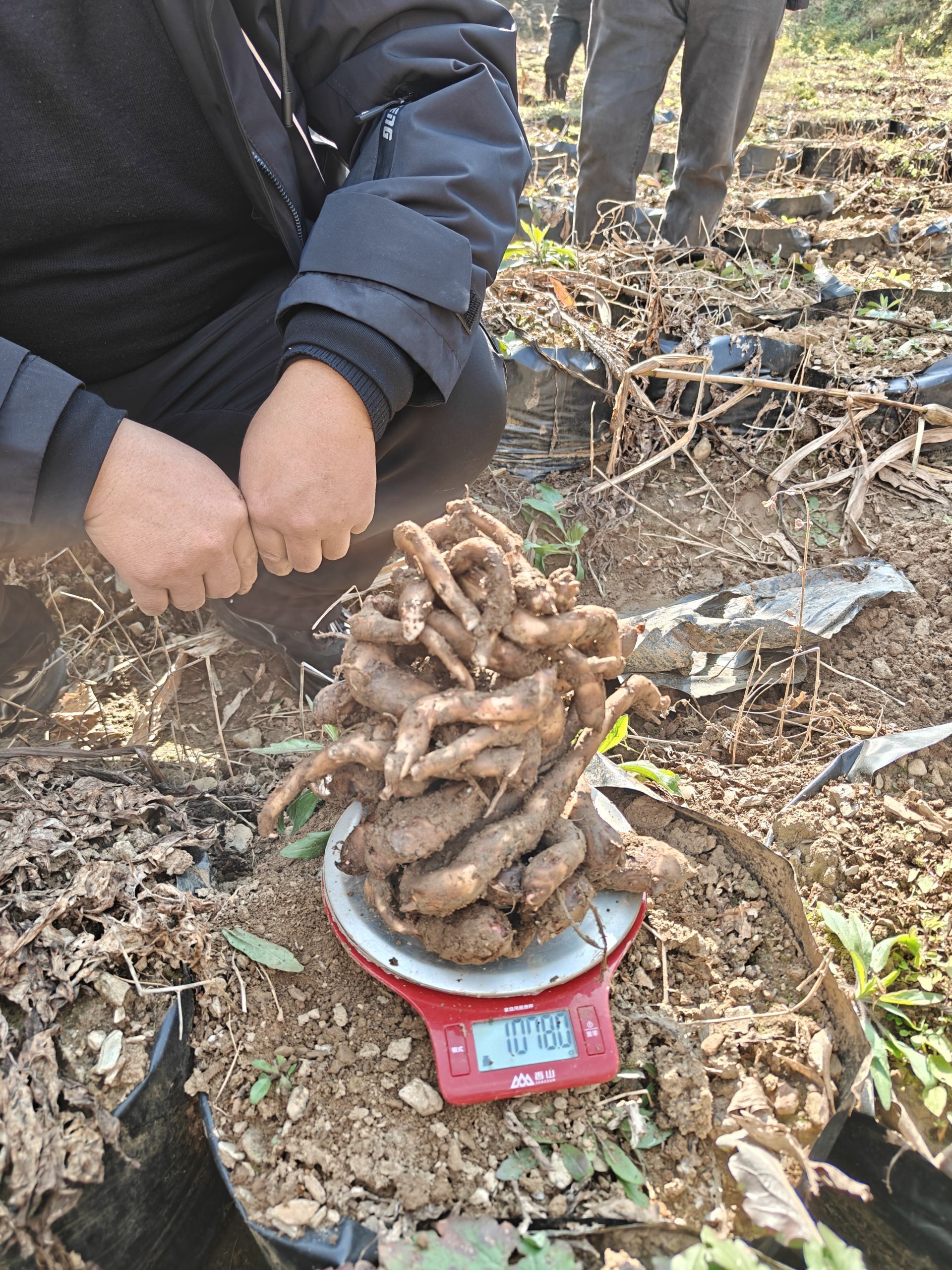 151765789929484336.jpg ecc5e6cfd1eec94547da0f90fd768edd.jpg