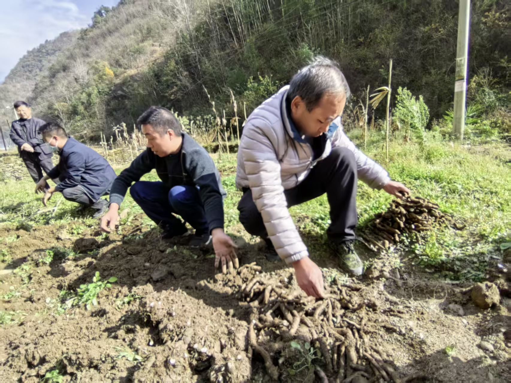 151765789989803027.jpg b083c7cf33dd55c1430fc5c62c97d8c0.jpg