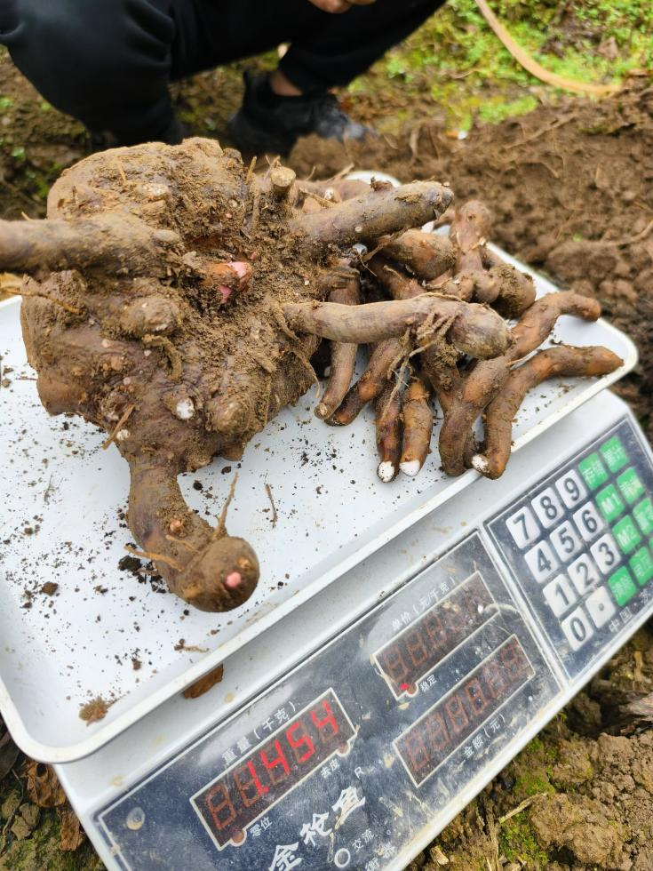 151765790014151834.png 0df5f2825b7453d155075ac39565d2d0.png