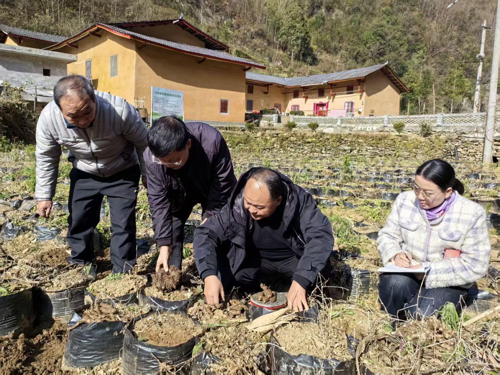 151765790038549392.jpg bdf9133fc258ffad5c936fd707c514d1.jpg