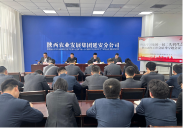 031772527763107386.png image.png