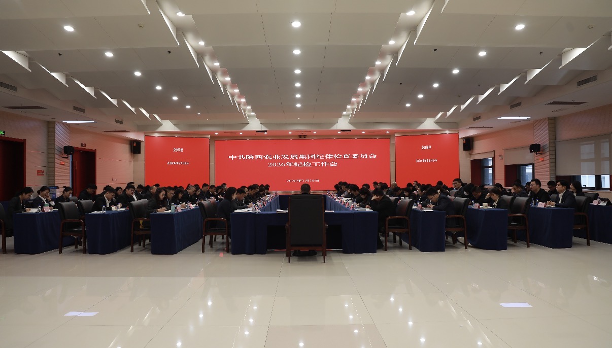 191773922245886479.jpeg IMG_6559.jpeg