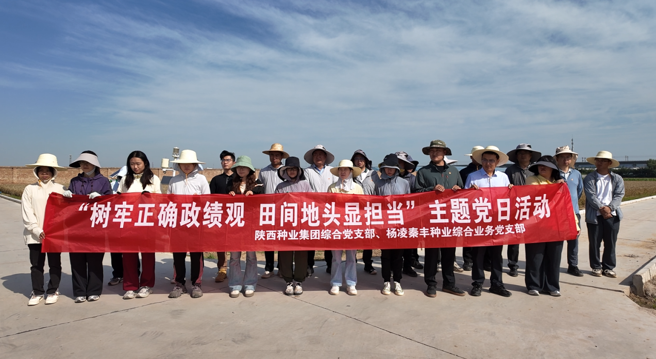 091780996307613298.png 图片1.png